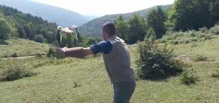 Avladığı yılanı bütün yutarak boğulma tehlikesi geçiren kartalın tedavisi tamamlandı G2