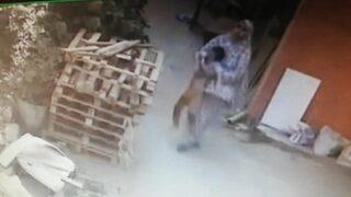 Balkondan düşen kanlar içindeki çocuğunu kucağında taşıdı! Korku dolu anlar kamerada