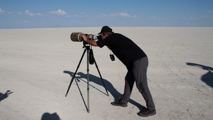 Tuz Gölü'ndeki yavru flamingolar için yapılan çalışmalar devam ediyor G3