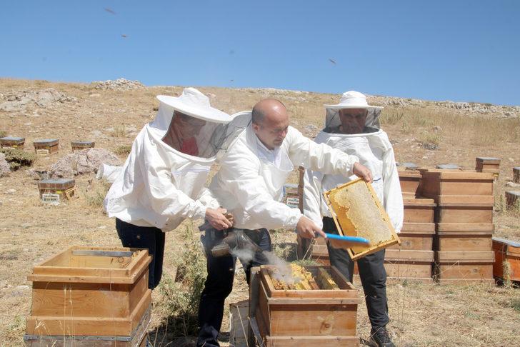 Toros Dağları'nda ödüllü Eğriçayır balının sağımına başlandı G2