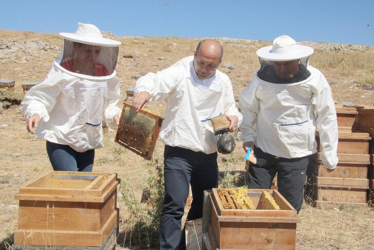 Toros Dağları'nda ödüllü Eğriçayır balının sağımına başlandı G5
