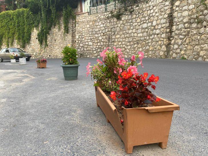 Zonguldak'ta apartmanın önünden çiçek hırsızlığı güvenlik kamerasında G2