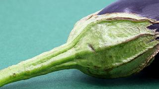 Kimsenin aklına işe yarayacağı gelmezdi! Hep çöpe gitti: Basuru kökten çözüyor