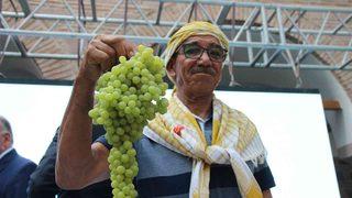 Açık arttırmayla satıldı! İlk kuru üzüme rekor fiyat