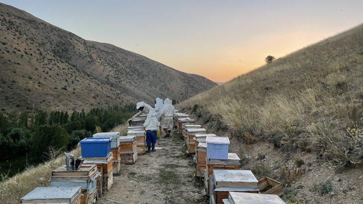 Bayburt'ta arıcıların bal sağım mesaisi başladı G3