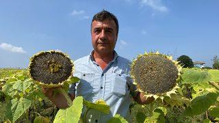 Zonguldak'ta emekli madenci tarıma yöneldi