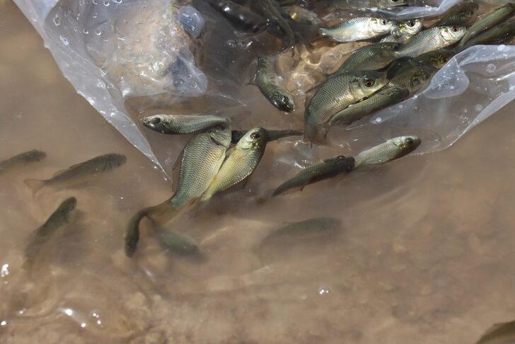 Atatürk Barajı'na 4 milyon balık yavrusu bırakıldı G2