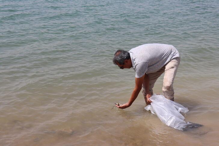 Atatürk Barajı'na 4 milyon balık yavrusu bırakıldı G4