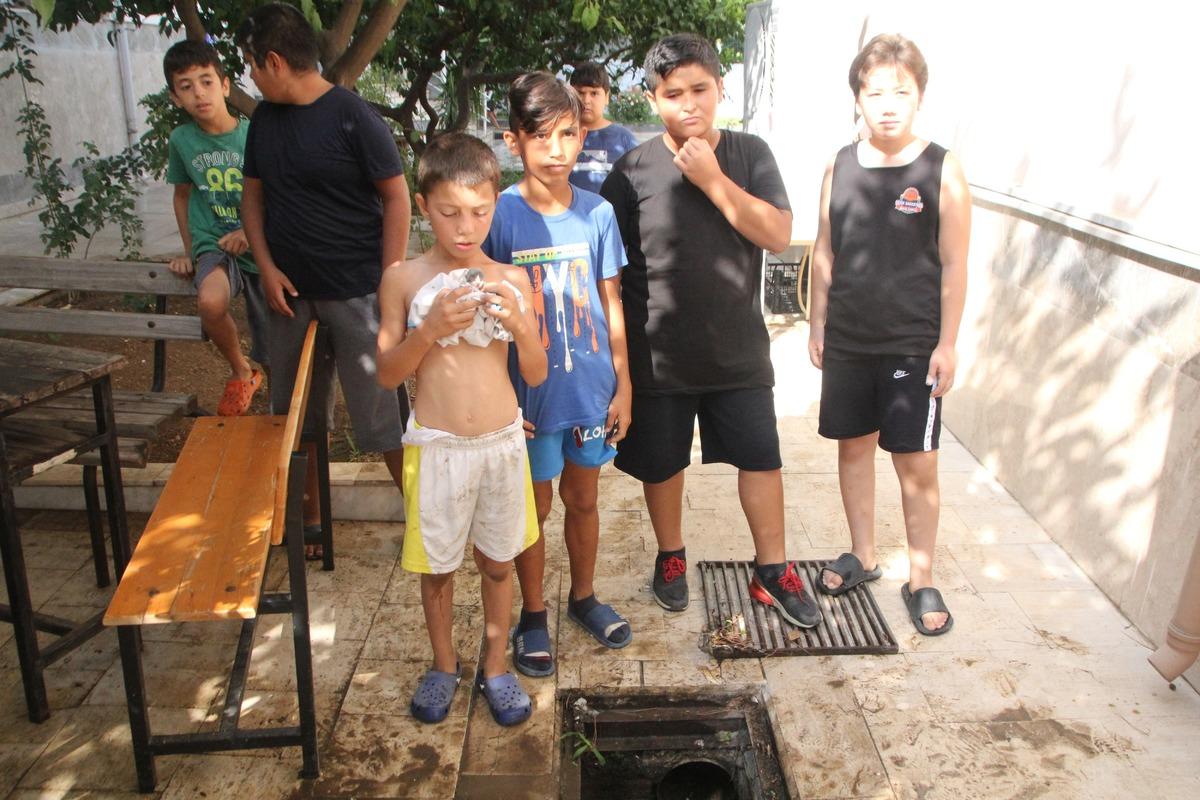 Antalya'da r&ouml;garda mahsur kalan kedi yavruları kurtarıldı