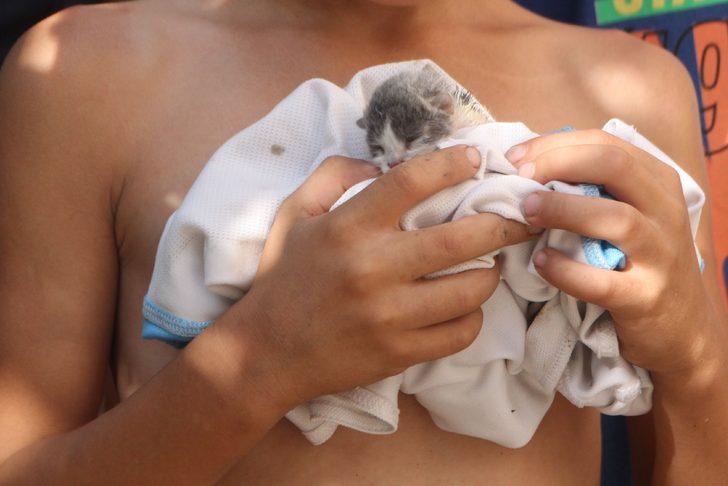 Antalya'da rögarda mahsur kalan kedi yavruları kurtarıldı G2