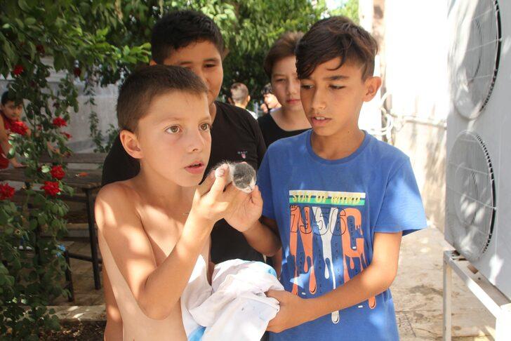 Antalya'da rögarda mahsur kalan kedi yavruları kurtarıldı G3