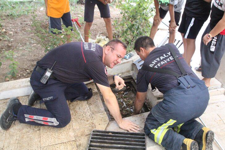 Antalya'da rögarda mahsur kalan kedi yavruları kurtarıldı G4