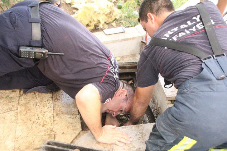 Antalya'da rögarda mahsur kalan kedi yavruları kurtarıldı G5