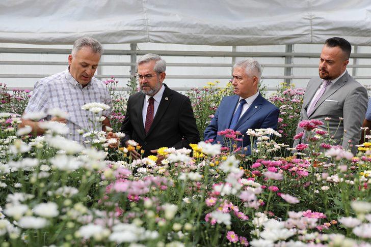Ankara Üniversitesi Ziraat Fakültesinde yerli kasımpatı üretimine başlandı G3