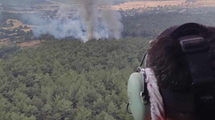 Balıkesir'de iki ilçede çıkan orman yangınları kontrol altına alındı