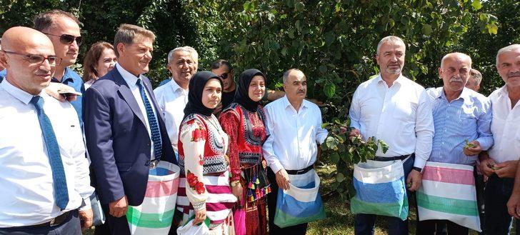 Samsun'da Fındık Hasat Şenliği düzenlendi G1