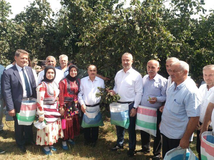 Samsun'da Fındık Hasat Şenliği düzenlendi G3