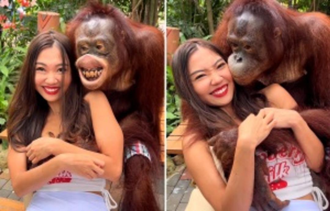 İlgin&ccedil; an! Fotoğraf &ccedil;ektirmek istedi, bir anda maymun sarılıp poz vermeye başladı