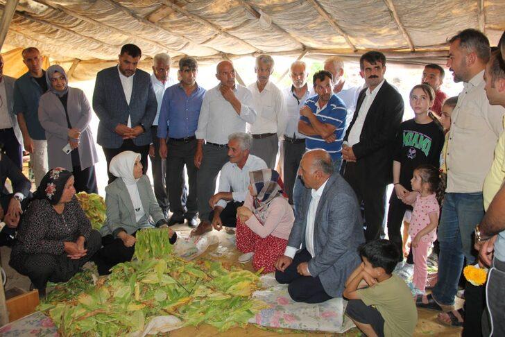 AK Parti'li Çalık dolu yağışından etkilenen tütün üreticileriyle buluştu G2