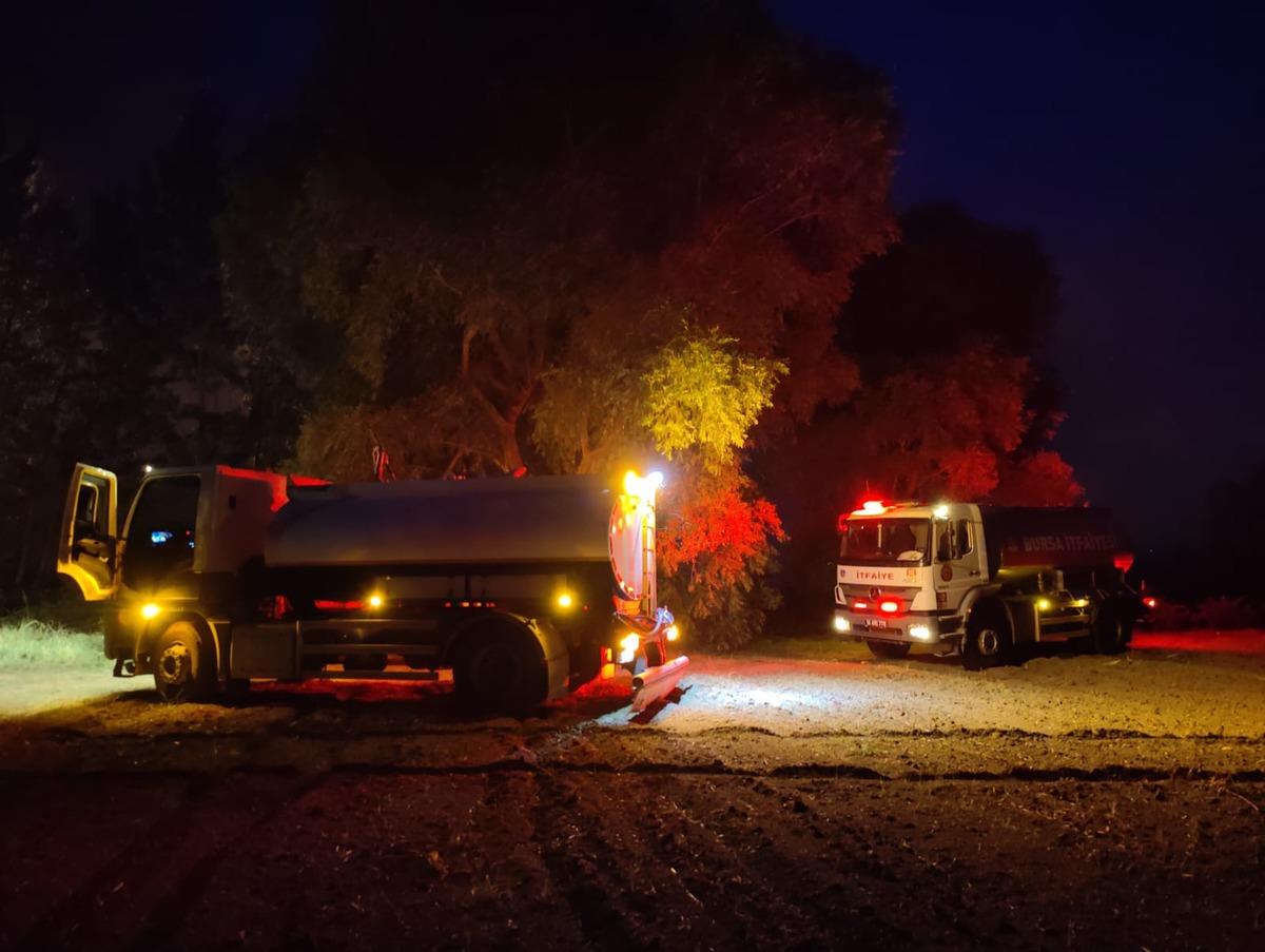 G&Uuml;NCELLEME - İznik G&ouml;l&uuml; kıyısındaki sazlık alanda &ccedil;ıkan yangın kontrol altına alındı