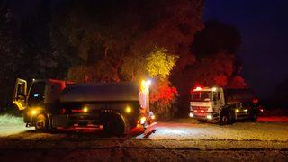 İznik Gölü kıyısındaki sazlık alanda çıkan yangına müdahale ediliyor