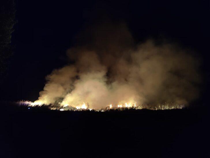 İznik Gölü kıyısındaki sazlık alanda çıkan yangına müdahale ediliyor G3