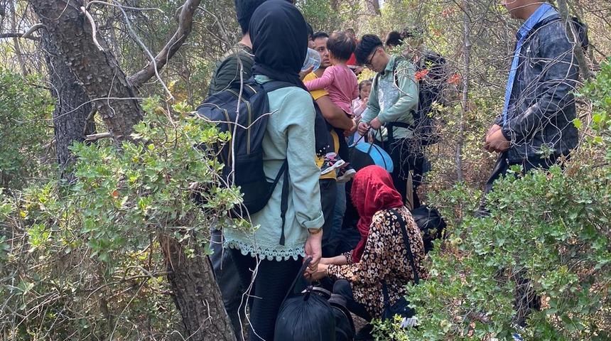 Muğla'da ormanlık alanda 80 düzensiz göçmen yakalandı