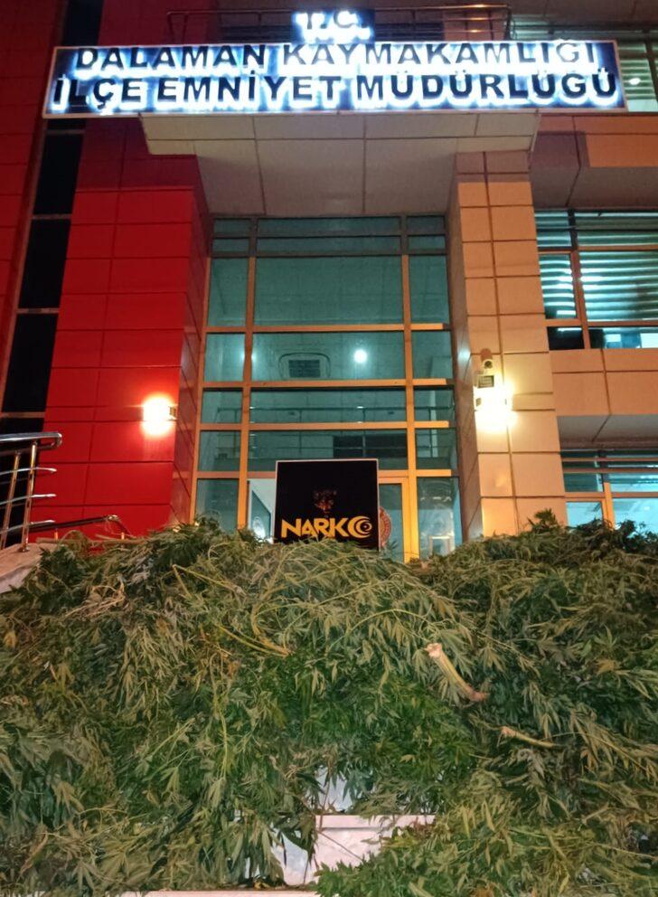 Muğla'da kenevir yetiştirmek için sera kurulan evde yakalanan 2 zanlıdan 1'i tutuklandı G3