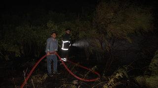 Hatay’da zeytinlik alanda çıkan yangın söndürüldü