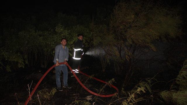 Hatay’da zeytinlik alanda çıkan yangın söndürüldü