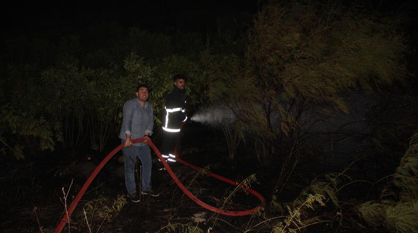 Hatay’da zeytinlik alanda çıkan yangın söndürüldü