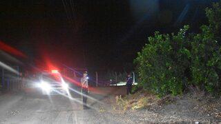 Adana'da narenciye bahçelerinde hırsızlığa karşı havadan ve karadan denetim