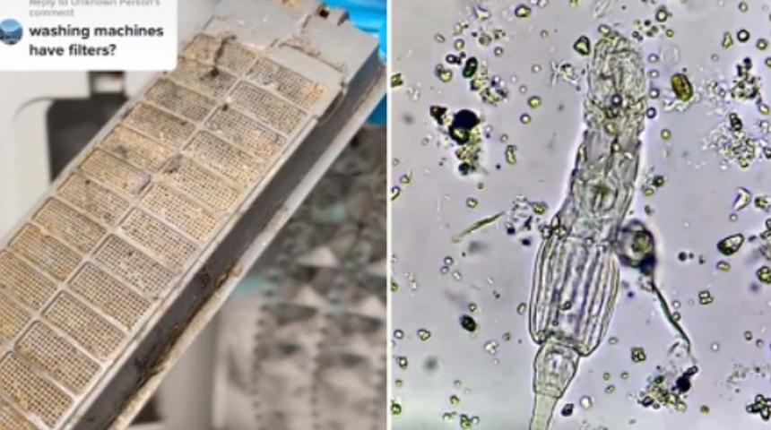 'Asla yeterince temizlenmiyor': Mide bulandıran görüntüler