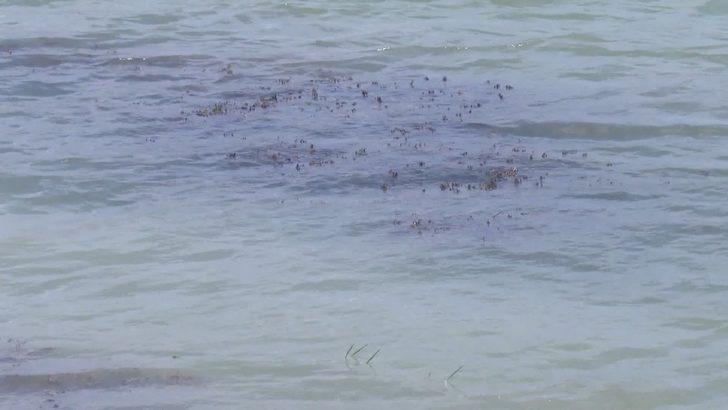 İSKİ'nin 'musluk suyu' çağrısı kafaları karıştırmıştı! "Kesinlikle" diyerek anlattı: Aşırı oranda arttı G3