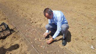 Kilosu 100 bin TL! Dünyanın en pahalı baharatı... Toplayanı zengin ediyor