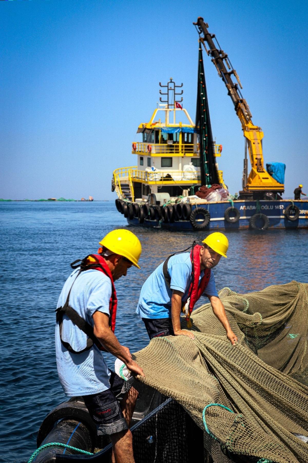 Muğla'nın su &uuml;r&uuml;nleri ihracatı 500 milyon dolara yaklaştı