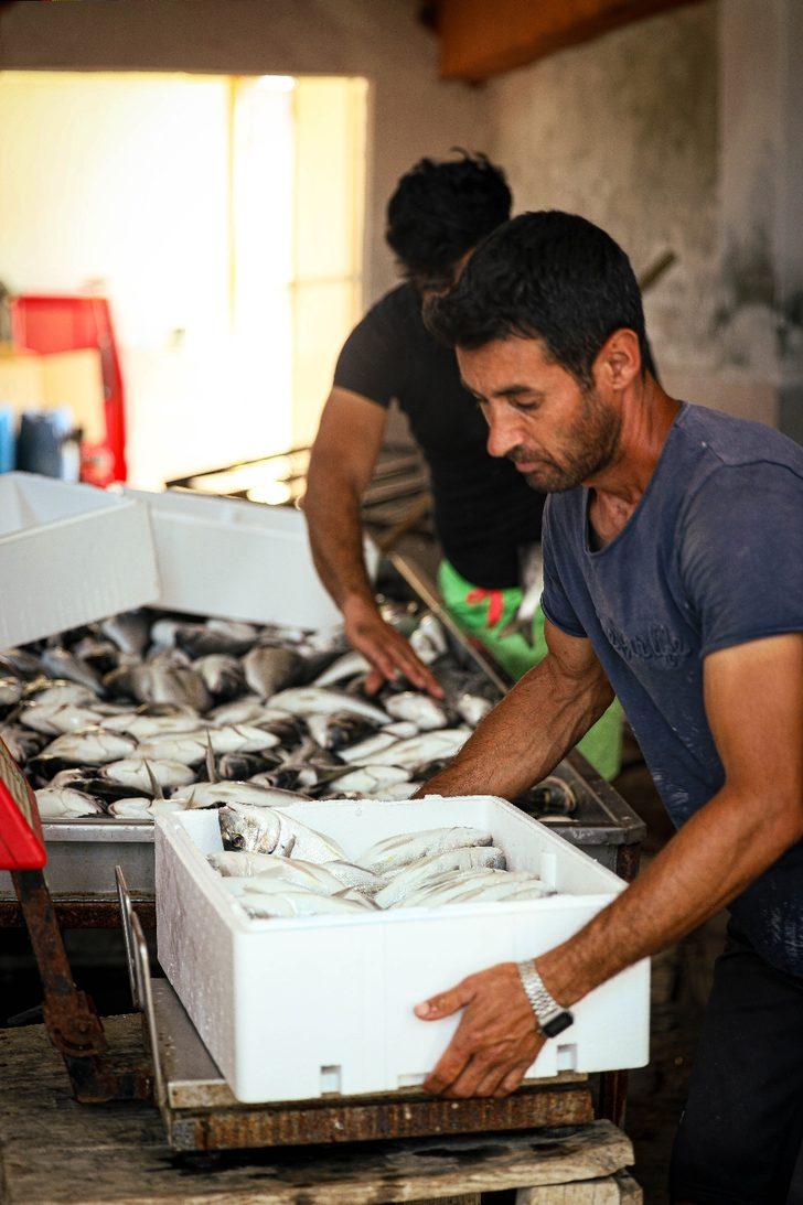 Muğla'nın su ürünleri ihracatı 500 milyon dolara yaklaştı G4