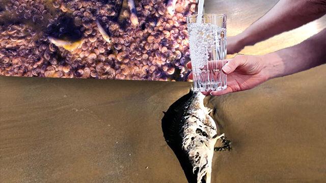 İSKİ'nin 'musluk suyu' çağrısı kafaları karıştırmıştı! Kesinlikle diyerek anlattı: Aşırı oranda arttı