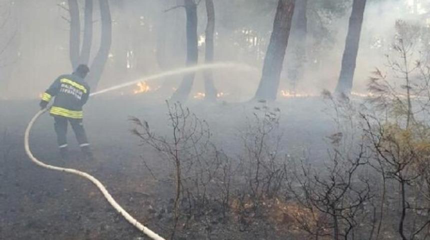 Savaştepe'de orman yangını