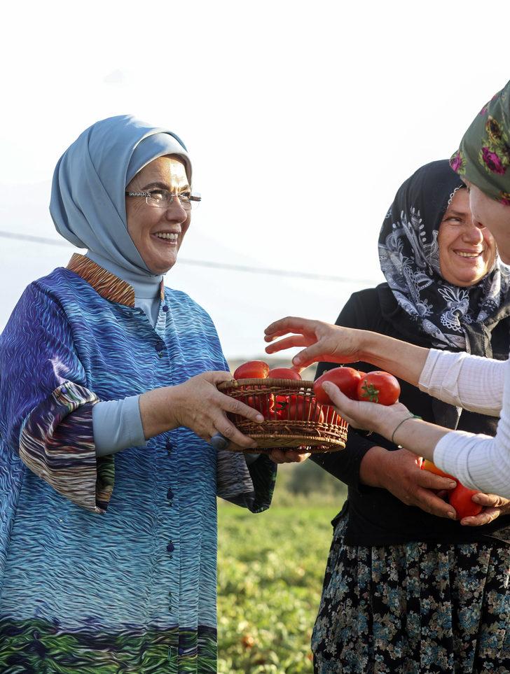 Emine Erdoğan, Ayaş'ta çiftçi kadınlarla tarladan domates topladı, kışlık menemen yaptı: G1