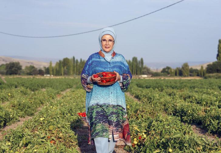 Emine Erdoğan, Ayaş'ta çiftçi kadınlarla tarladan domates topladı, kışlık menemen yaptı: G4