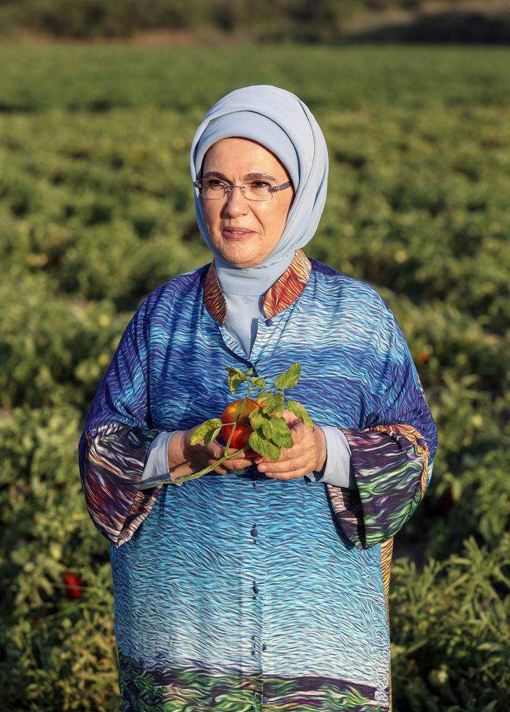 Emine Erdoğan, Ayaş'ta çiftçi kadınlarla tarladan domates topladı, kışlık menemen yaptı: G5