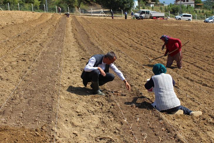 Karabük'te safran toprakla buluştu G2