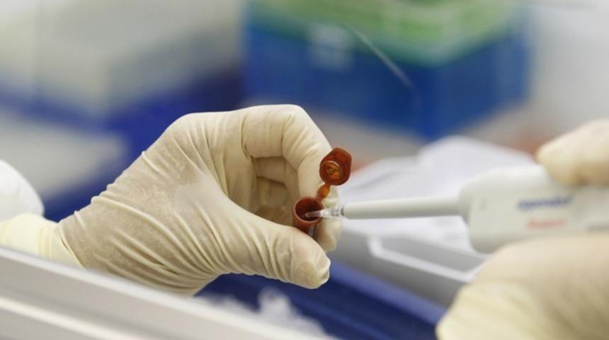 Domuz gribiyle ilgili flaş a&ccedil;ıklama