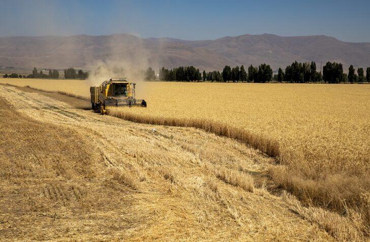 Atatürk Üniversitesinin 4 bin dekarlık tarım arazilerinde hasat heyecanı G3
