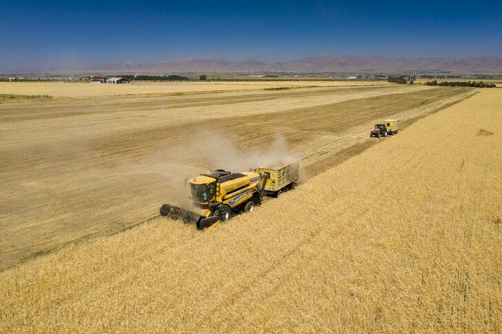Atatürk Üniversitesinin 4 bin dekarlık tarım arazilerinde hasat heyecanı G4