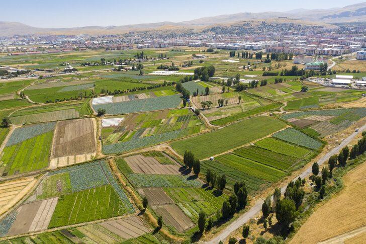 Atatürk Üniversitesinin 4 bin dekarlık tarım arazilerinde hasat heyecanı G5