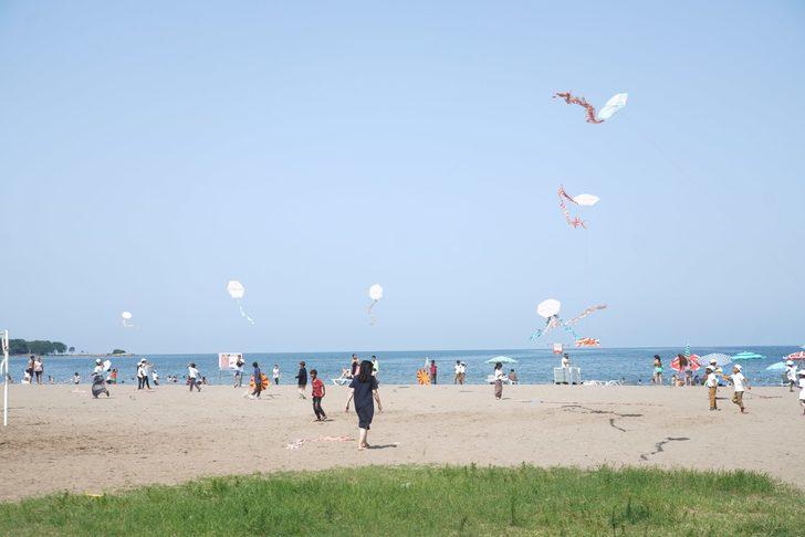 Ordu'da mevsimlik tarım işçilerinin çocukları "Uçurtma Şenliği"nde buluştu G3