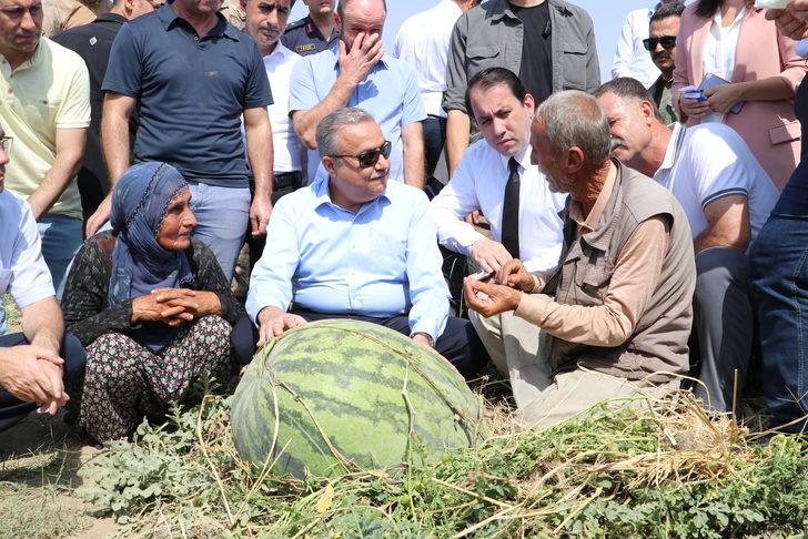 Diyarbakır'da ağırlığıyla yarışacak karpuzlarda hasat başladı G3