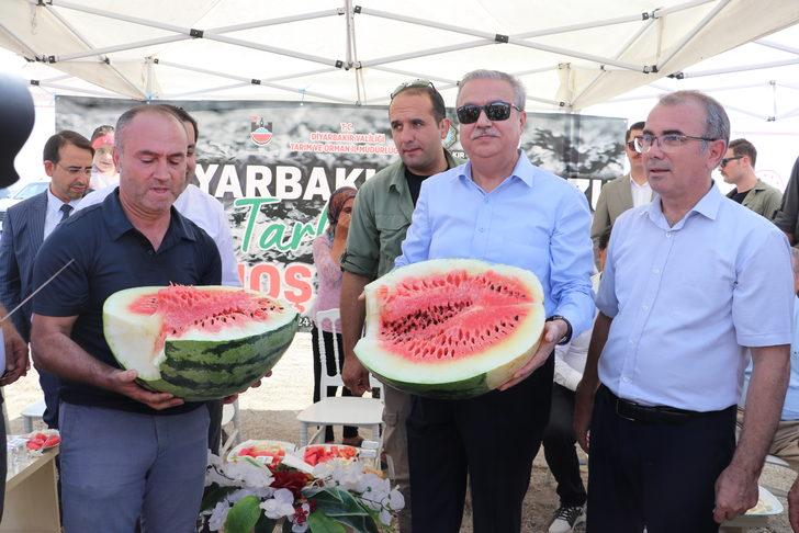 Diyarbakır'da ağırlığıyla yarışacak karpuzlarda hasat başladı G5